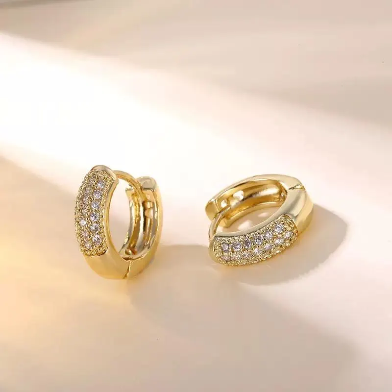 Stainless Steel Round Zircon Stone Ear Hoops Pair