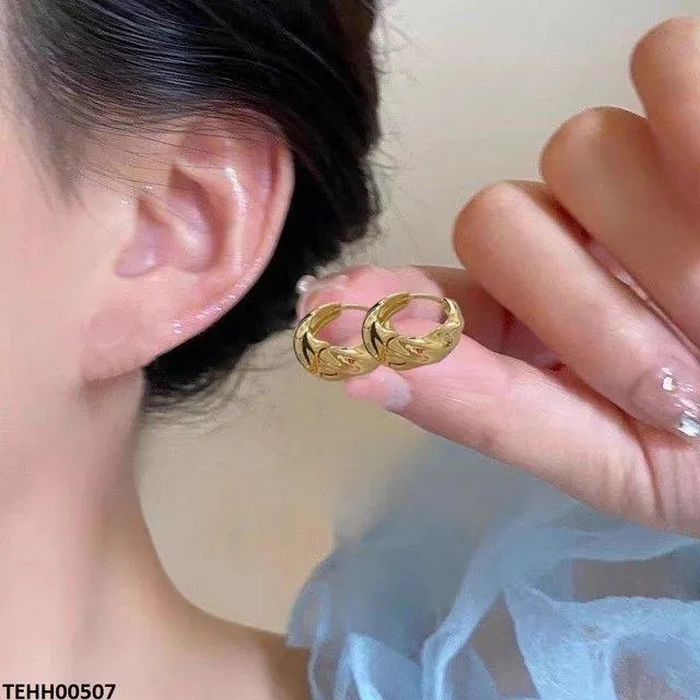 Round Stainless Steel Ear Hoops Pair