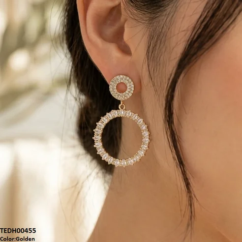 Double Round Drop Zircon Earrings